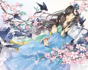 沈浩陈思思秦菲雪